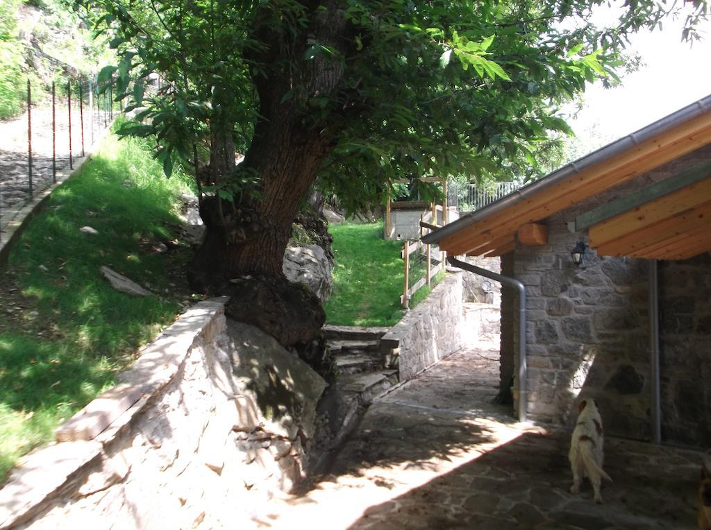 Agriturismo Ai Ronchi Sorico Exterior foto
